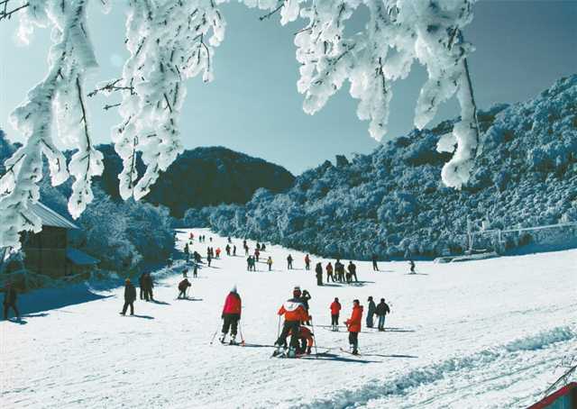 金佛山春夏秋冬四季游