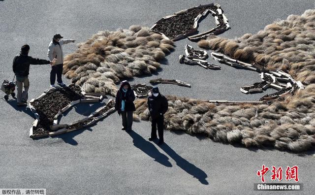 日本公园用植物打造两只"巨型绵羊"