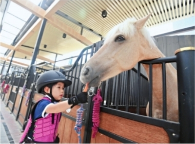 武汉22所小学9月启动试点马术课