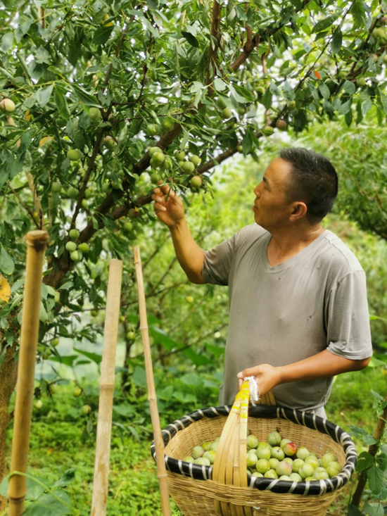 驻村第一书记胡诚：扎实做好驻村帮扶 努力践行初心使命