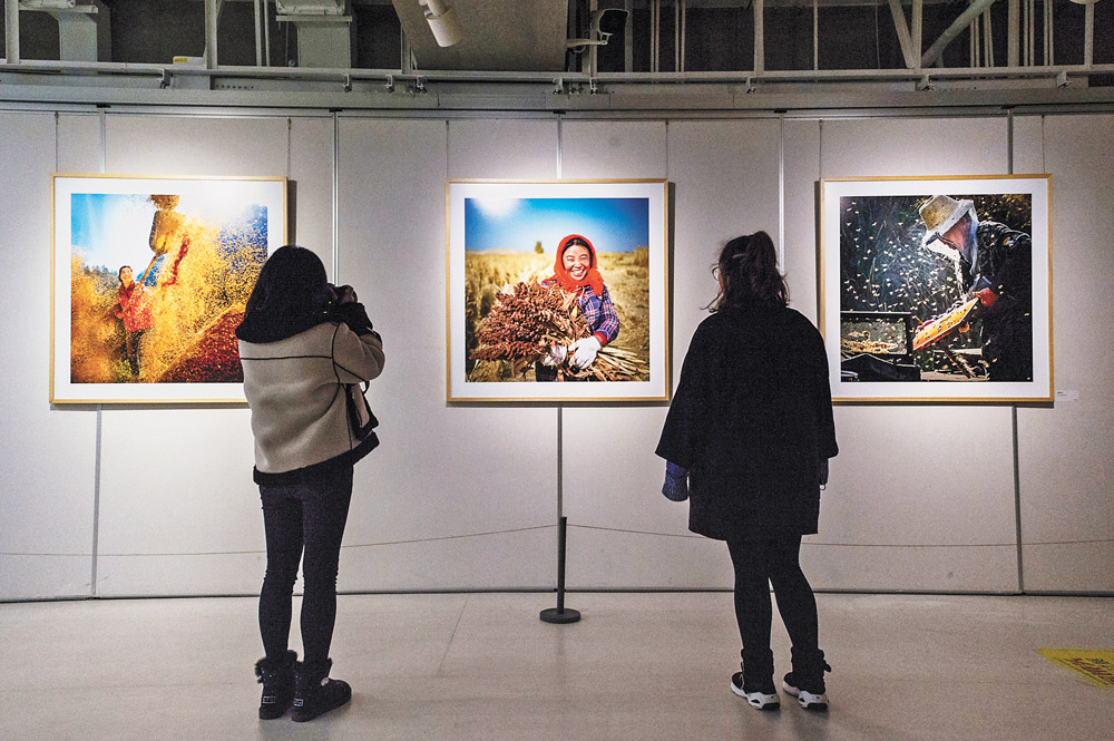 【焦点图】首届中国农民丰收节“金镜头”大赛作品开展