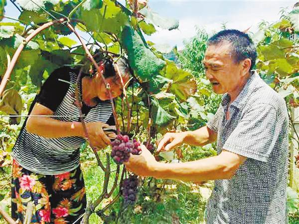 【区县联动】【綦江】綦江 扶贫不能走过场