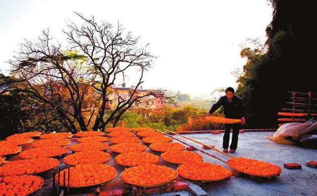 广西22个村上榜全国乡村旅游重点村 这里的山水记载着乡愁