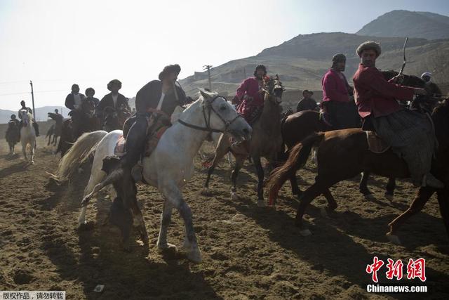 阿富汗举办传统国赛 骑手马背上抢羊尸体