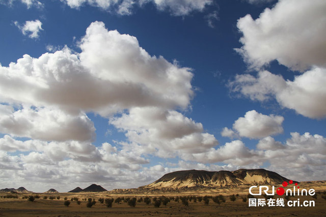 横穿埃及黑白沙漠 探秘"地外星球"风光