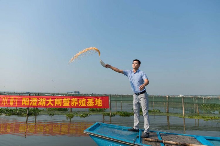 （B 区县列表 三吴大地苏州 移动版）开捕倒计时 阳澄湖大闸蟹日渐肥美