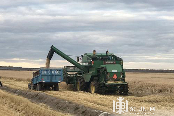 建三江垦区：坚守耕地红线 端好“中国饭碗