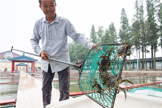 （有修改）（B 财经列表 三吴大地南京 移动版）第二十届中国·高淳固城湖螃蟹节将于9月19日开幕