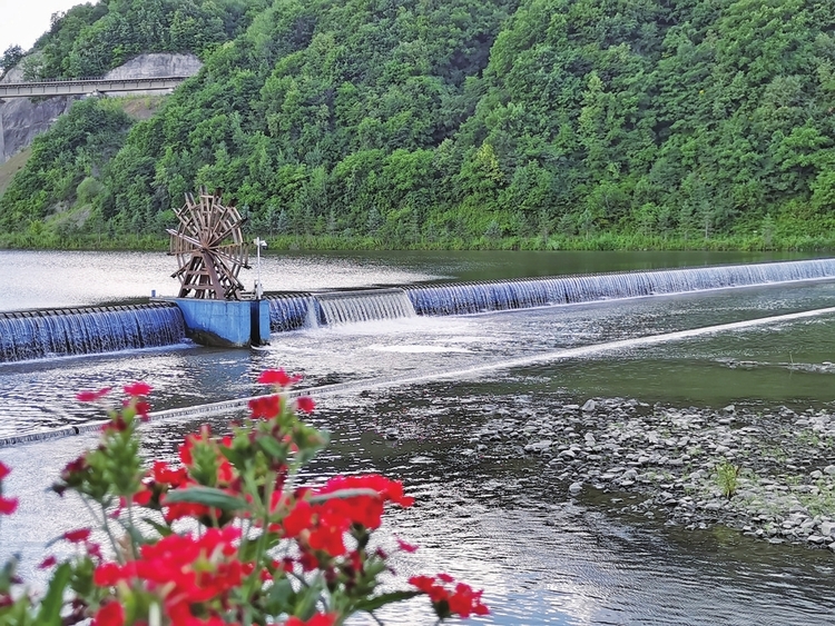 碧水清流入画来——白山市全面推行河长制工作纪实