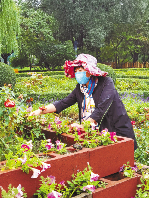 “园丁”李桂凡通过引种搭配，使芍药花期延长至21天 让游人欣赏到美丽花海