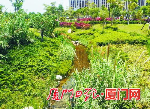 【要闻】【厦门】【移动版】【Chinanews带图】厦门创建国家海绵城市示范市 提升城市承载力宜居度