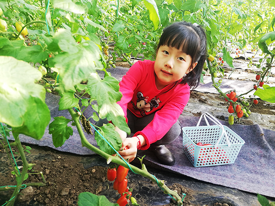 07【吉林供稿】延边州安图县石门镇北山村同心生态园开园