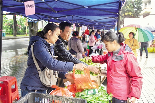 搭台展销农产品 持续帮扶贫困村