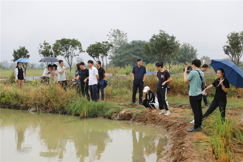 【A】【决胜脱贫攻坚】荆门市网络媒体“荆采行”聚焦扶贫一线