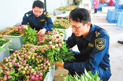 【中原巨变 标题列表】郑州海关：打造内陆强关助力中原崛起