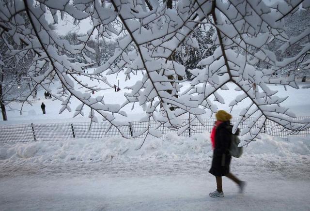 暴风雪袭击美国东部 纽约市进入紧急状态