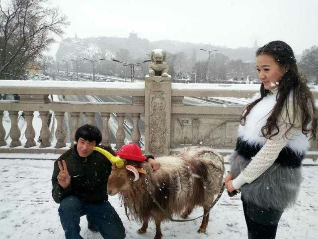 美女街头雪中遛羊 网友赞姑娘这么任性