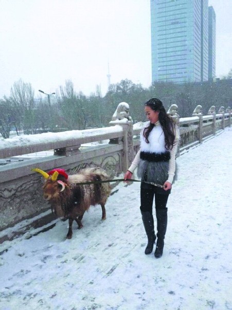 美女街头雪中遛羊 网友赞姑娘这么任性