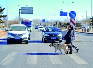 北京导盲犬生存状况调查：导盲犬走不进这座城