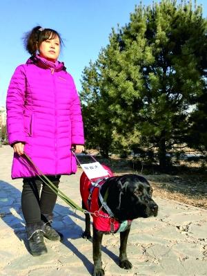 北京导盲犬生存状况调查：导盲犬走不进这座城