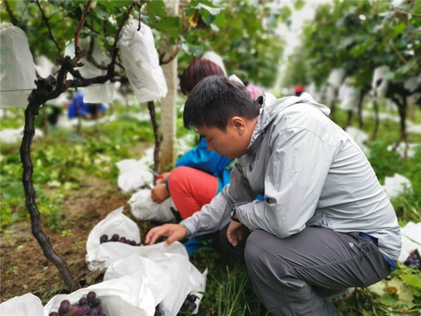 （有修改）西安高新地产驻村脱贫攻坚故事：沉下身子为乡亲谋福利