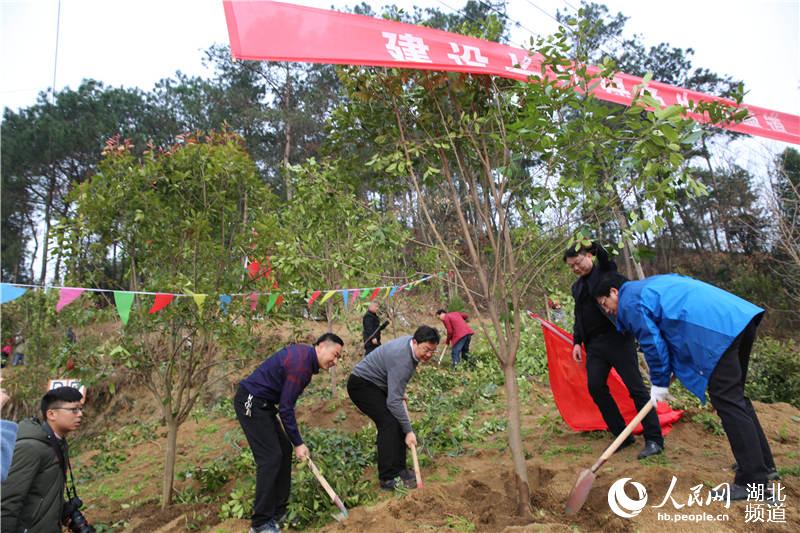 三峡库区湖北秭归千名干群库岸挥揪披绿