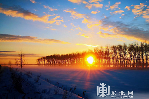 太平沟国家级自然保护区现“红装素裹”冬日美景