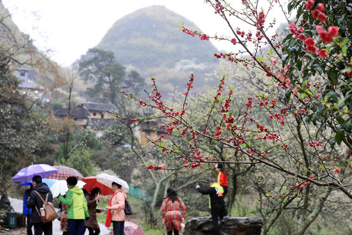 柳州融安:“空巢村”变身旅游胜地