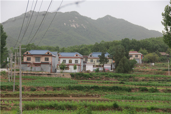 【B】平顶山市鲁山县张沟村：靠山吃山“不挖山”  山民生活比蜜甜