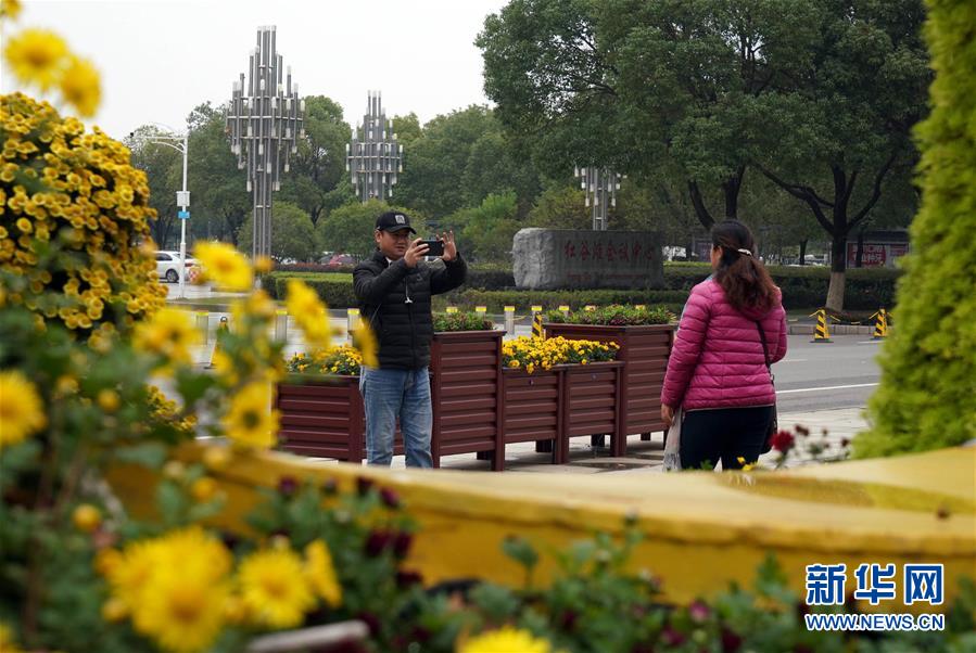 江西南昌：菊花绽放迎客来