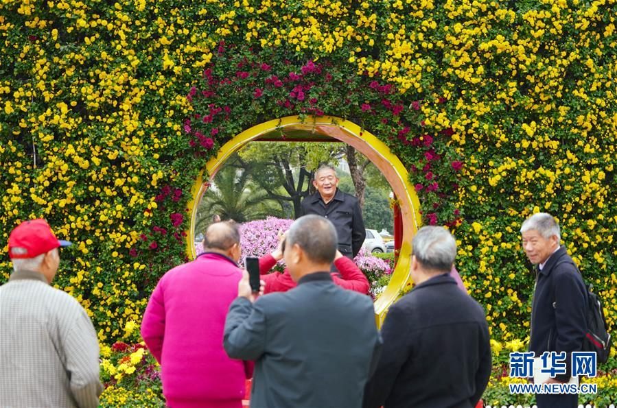 江西南昌：菊花绽放迎客来