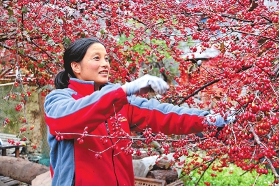 【河南好项目-图片】山茱萸助力增收致富