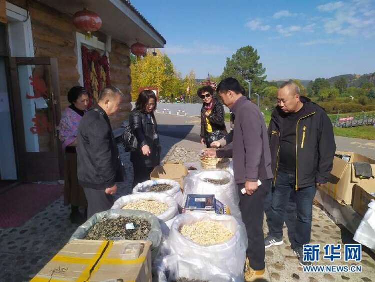 黑龙江漠河：畅游龙江 寻找“最北”打卡地