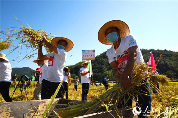 湖北南漳：庆丰收 赛农活 农民丰收节欢笑多