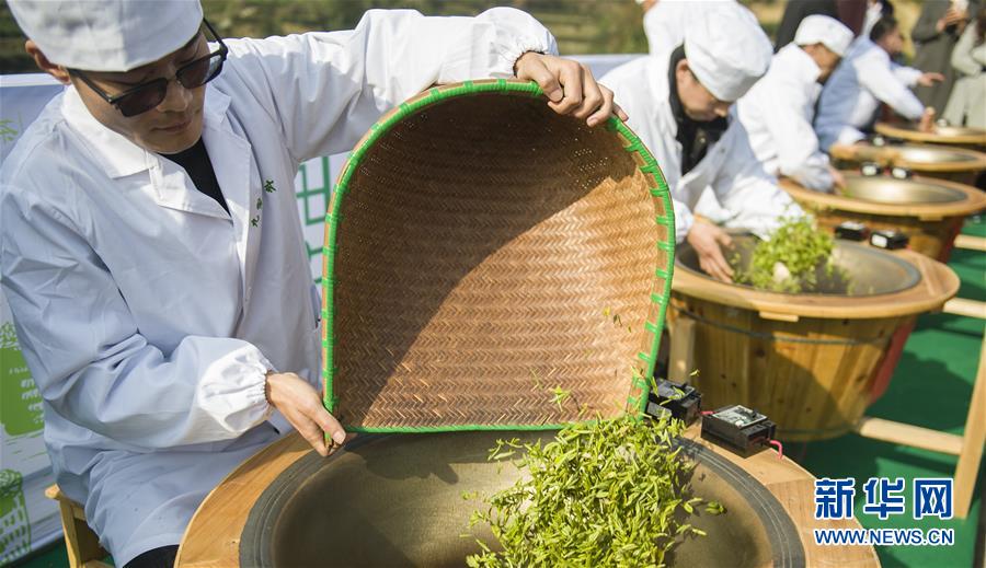 湖北秭归早茶飘香