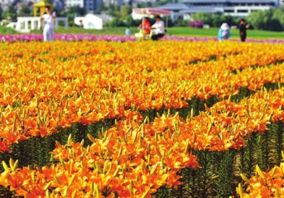 【旅游资讯-图片（页面标题：休闲度假好所在）】休闲度假好所在 驻马店获“2018年度中国十大最具活力休闲城市”殊荣