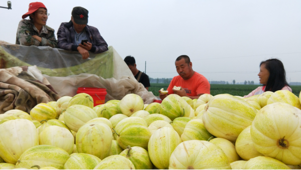 镇赉：从“要你脱贫”到“我要致富”