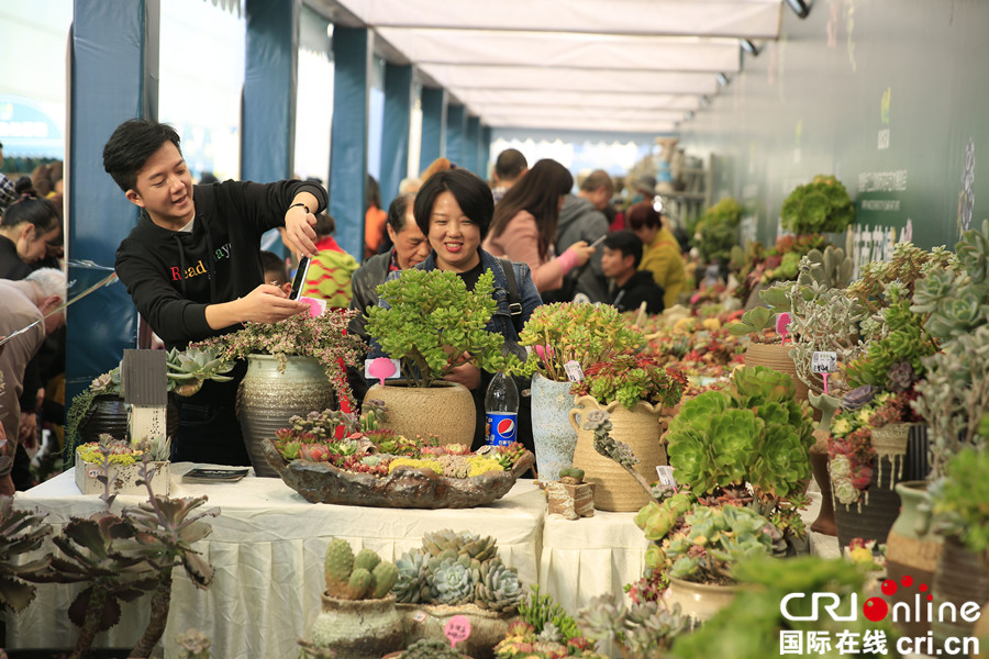 无边栏【CRI专稿 摘要】城市花博会：花卉嘉年华亮相山城重庆