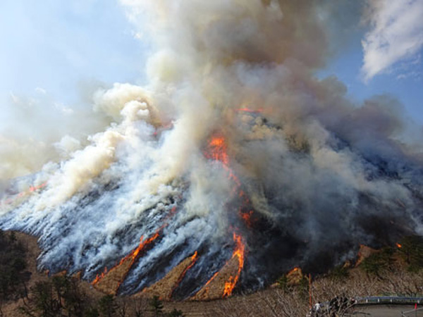 日本大室山举行烧山活动 滚滚浓烟蔚为壮观