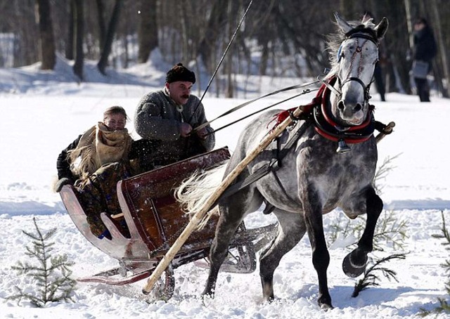 波兰人玩马拉雪橇享受冬日欢乐