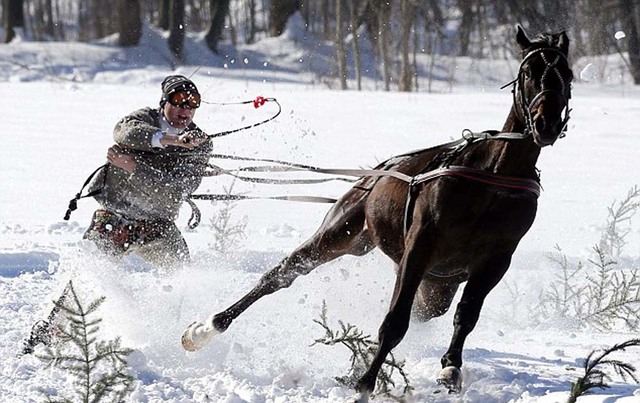 波兰人玩马拉雪橇享受冬日欢乐