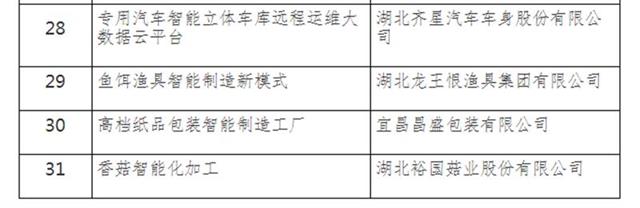 2018湖北省智能制造试点示范项目出炉 31家企业榜上有名