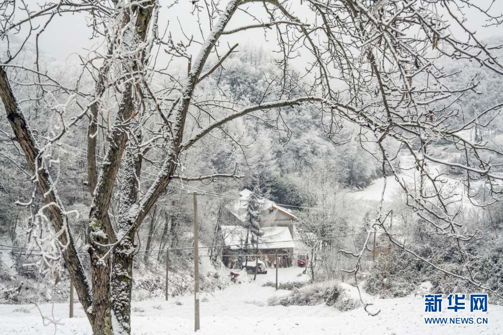 湖北巴东绿葱坡镇：鄂西屋脊 冰雪入画