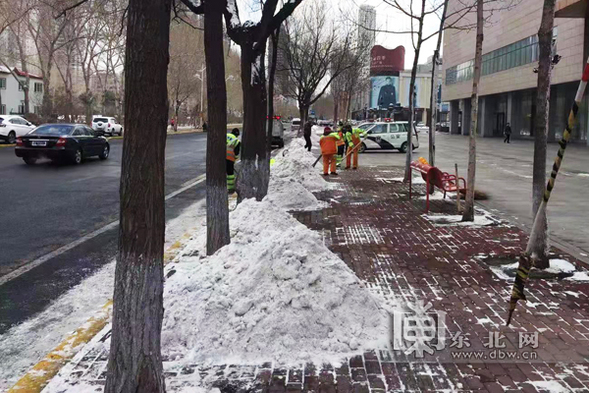 夜降中雪 哈尔滨市两万余清雪大军昼夜奋战保路畅通