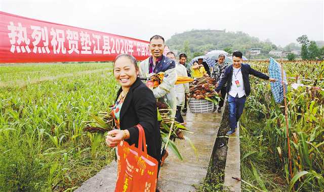 巴渝大地喜庆“中国农民丰收节”