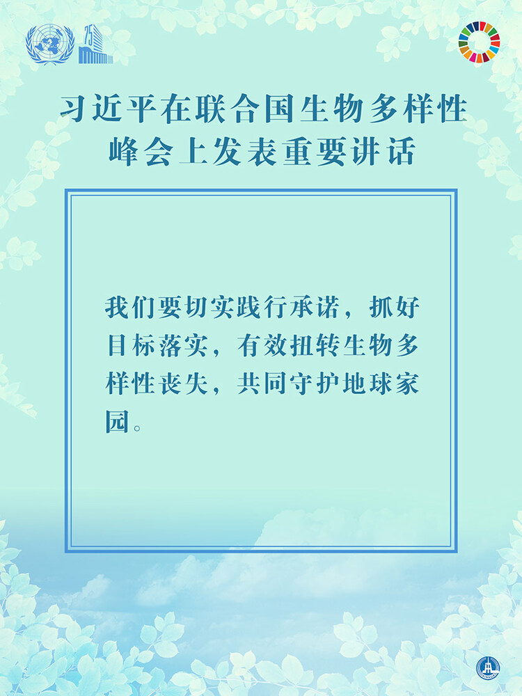 海报：习近平在联合国生物多样性峰会上发表重要讲话