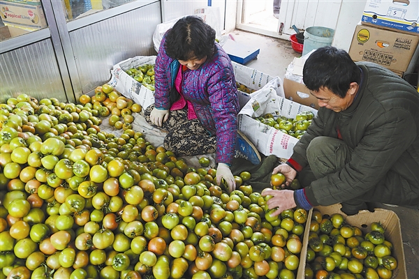 看大连乡村红火过大年