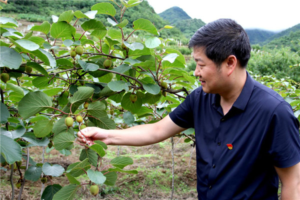 安康市汉滨区叶坪镇党委书记白云飞：扎根基层八年 带领群众奔小康