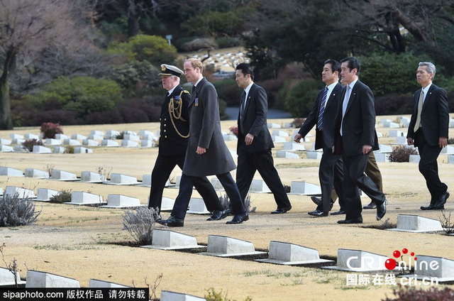 威廉王子向英联邦阵亡者墓地献花