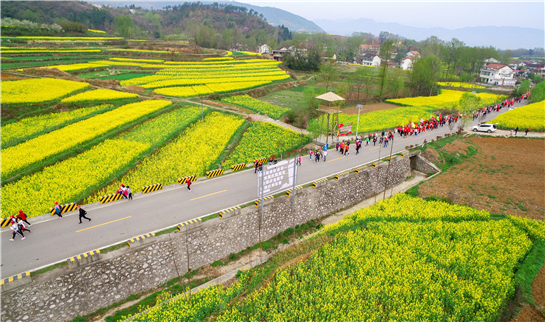 汉中市勉县推出十三项油菜花节活动